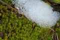 Moss and frost in the Ordesa and Monte Perdido National Park.