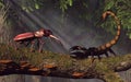 Stage Beetle Vs Scorpion