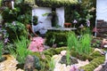 Moss garden