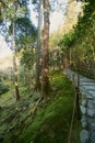 The moss garden at Ginkakuji in Kyoto, Japan