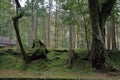 Moss garden of Saiho temple