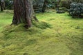 Moss garden of Sanzenin