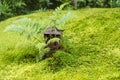 Moss garden view in Arashiyama, Kyoto Royalty Free Stock Photo