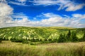 Moss in Giant mountains in National park in Czech republic Royalty Free Stock Photo