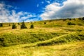 Moss in Giant mountains in National park in Czech republic Royalty Free Stock Photo