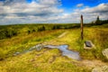 Moss in Giant mountains in National park in Czech republic Royalty Free Stock Photo