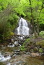 Moss Glen Falls, Vermont, USA Royalty Free Stock Photo