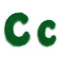 Moss green letter C Royalty Free Stock Photo
