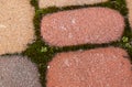 Moss and green weeds in the background between paving slabs Royalty Free Stock Photo