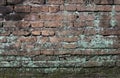 Moss grow on old brick wall Royalty Free Stock Photo