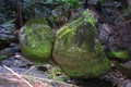 Moss on Large Boulder in Cave