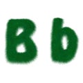 Moss lawny letter B