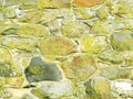 Moss lichen covers colonial era stone house wall Royalty Free Stock Photo