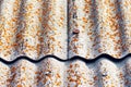 Moss and lichen on a fragment of asbestos shingles Royalty Free Stock Photo