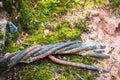 Moss and metal old worn rope