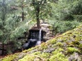 Moss nature forest waterfall Green color