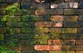 Moss on old brick wall texture background Royalty Free Stock Photo