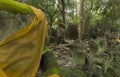 Moss on old Buddha statue in the forest
