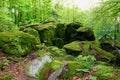Moss overgrown boulders at a former quarry for Gabbro. Odenwald area, Germany