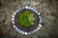 Moss and River Stone Rocks Nature Newborn photography digital ba Royalty Free Stock Photo