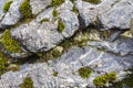 Moss on a rock face. Relief and texture of stone with patterns and moss. Stone natural background Royalty Free Stock Photo