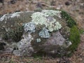 Moss on a rock face. Relief and texture of stone with patterns and moss. Stone natural background. Stone with Moss. Stones Royalty Free Stock Photo