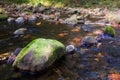 Moss on the rock in a river in autumn, Guriezo, Cantabria, Spain Royalty Free Stock Photo