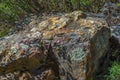 Remarkable colors, patterns, and textures on a large moss rock in Colorado