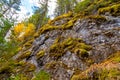 Moss on the rock. Stolby national park in Ural. Forest and a large stone with moss. Ural nature landscape. Olenji ruchji