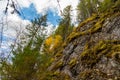 Moss on the rock. Stolby national park in Ural. Forest and a large stone with moss. Ural nature landscape. Olenji ruchji