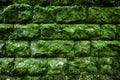 moss rock wall