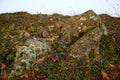 Moss On Rocks Royalty Free Stock Photo