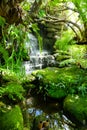 Moss on rocks with waterfall background Royalty Free Stock Photo