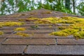 Moss on the roof Royalty Free Stock Photo