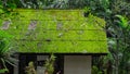 Moss roof in green season Royalty Free Stock Photo