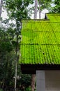 Moss roof in green season Royalty Free Stock Photo