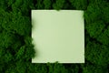 Moss Seamless Texture, green preserved moss for decor in the office on the wall