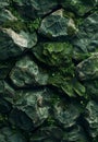 Moss and small plants growing on rugged rocks