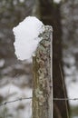 Moss and snow covered fence post with barb wire in winter Royalty Free Stock Photo