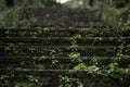 Moss stairs of stone Royalty Free Stock Photo