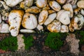 Moss and stone nature background and texture