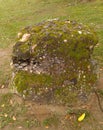 Moss Stone in Quinta da Boa Vista Rio de Janeiro Brazil.