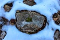 Moss on the stone. Snow around the stone. Dry leaves under the snow Royalty Free Stock Photo