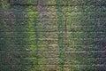 Green moss on stone wall Royalty Free Stock Photo