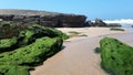 Moss stones on the beach in portugal