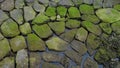 moss on stones, Torshaven, Faroes islands Royalty Free Stock Photo