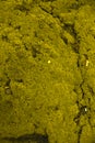 Moss texture, background with copy space. crack background Royalty Free Stock Photo