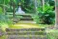 Moss on walkways in lawns walkways to The white Buddha statue an