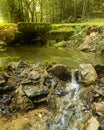 Moss Waterfall creek Rocks green forest