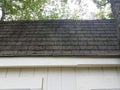 Moss on white storage shed roof shingles Royalty Free Stock Photo